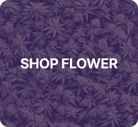 WS FLOWER