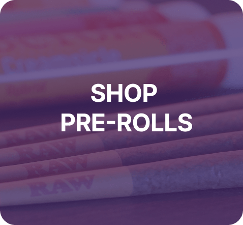 WS PREROLLS