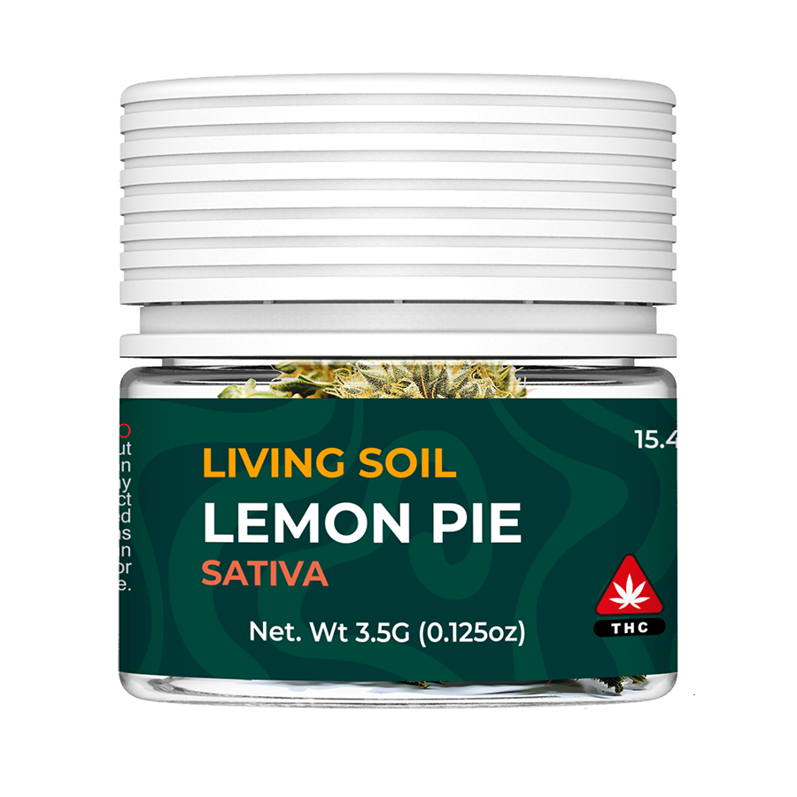 mock Lemon Pie Living soil 3.5G CB SP JAR FRONT