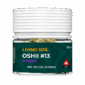 mock_OSHII _13_Living soil 3.5G CB SP JAR_FRONT