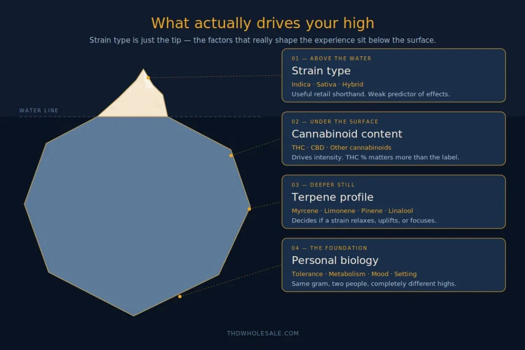 Ice infographic on the factors affecting the effects of a cannabis flower