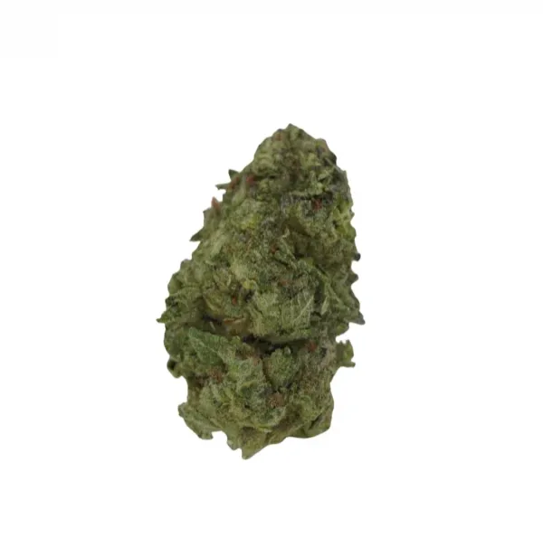 gorilla-breath-zaza gorilla-breath-zaza